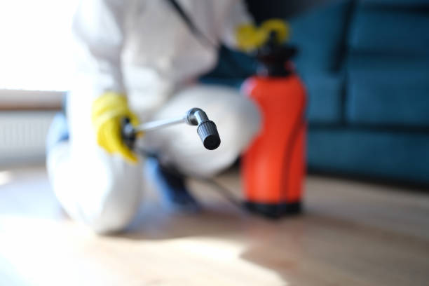 Best HVAC Mold Inspection and Cleaning  in Wilsons Mills, NC